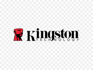 اس اس دی اکسترنال کینگستون 1 ترابایت SSD EXTERNAL KINGSTON 1TB XS1000 1 ki1396k423 kingston logo kingston logo png transparent amp svg vector freebie supply